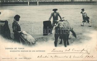 Spanish bull-fighter (EK)