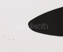 Vasarely, Victor (1908-1997): Zebrák. Szitanyomat, papír, jelzett, számozott (11/90), üvegezett fake...