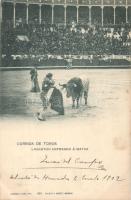 Spanish bull-fighter