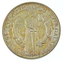 Bognár György (1944-) DN "Büntetés-végrehajtási szolgálatért" kétoldalas, peremén jelzett ...