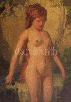 Stein János Gábor (1874-1944): Női akt (Zsuzsanna és a vének). Olaj, vászon, jelezve jobbra lent, 40...