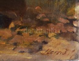 Stein János Gábor (1874-1944): Női akt (Zsuzsanna és a vének). Olaj, vászon, jelezve jobbra lent, 40...