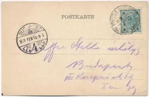 1901 Breclav, Lundenburg, Leventevár; Schloss Lichtenstein / castle, park. Art Nouveau floral litho ...