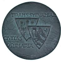 Boldogfai Farkas Sándor (1907-1970) ~1940. "Mátyás az igazságos Kolozsvár szülötte / Transsylva...