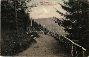 1908 Vatra Dornei, Dornavátra, Bad Dorna-Watra (Bukovina); Ullmann Promenade. Verlag Rosenfeld (small tear)