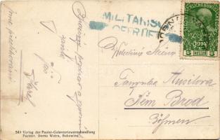 Vatra Dornei, Dornavátra, Bad Dorna-Watra (Bukovina, Bukowina); Totalansicht / Vederea totala. Pacht...