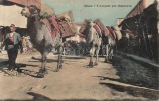 Adana, camel transportation, folklore (b)