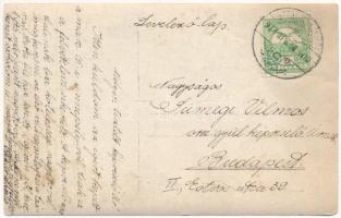 1913 Gyergyószentmiklós, Gheorgheni; 1848-1849-es forradalom és szabadságharc ünnepe, március 15-i ü...