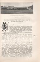 Szabolcs vármegye. (Magyarország vármegyéi és városai. Szerkeszti: Borovszky Samu.)
(Budapest, 1900...