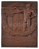 1927. "Pénzintézeti Sportegyesületek Szövetsége 1912-1927" bronz plakett (56x44mm) T:AU patina