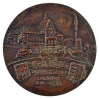 1938. "Csepel község újjáépítésének emlékére 1838-1938" bronz emlékérem (~77-78mm) T:XF ph.