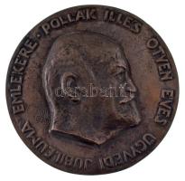 Littman Frigyes (1907-1944) 1929. "Pollák Illés ötven éves ügyvédi jubileuma emlékére" egyoldalas öntött bronz plakett (100mm) T:XF HP 3380.