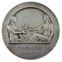 1906. "Az Orsz. Közp. Kath. Legényegyesület félszázados - Jubileumi munkakiállítása alkalmából / Kiváló munkájáért a Kereskedelemügyi m. kir. Minister" ezüsözött Cu emlékérem (60mm) T:XF ph.