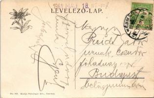 Késmárk, Kezmarok; Vár utca, Thököly vár és a katolikus templom. Feitzinger Ede No. 908. / street vi...