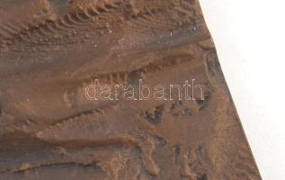 Várhelyi György (1942- ): Magyar felkelések története. 6 darabos bronz plakett sorozat, mely szocial...