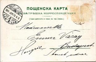 1901 Plovdiv, Philippople, Philippopolis; general view. Art Nouveau, floral (EB)