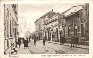 Petrozsény Ferdinand street with library (fa)