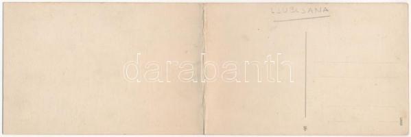 Ljubljana, Laibach; Z kamniskami planinami / Laibach mit Steiner Alpen / 2-tiled folding panoramacar...