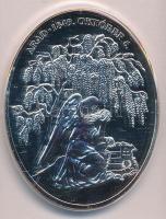 DN "Tizenhárom aradi vértanú - Nagysándor József" ezüstözött Cu-Zn emlékérem, tanúsítvánny...