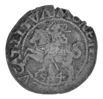 Lengyel-Litván Nemzetközösség 1564. 1/2gr Ag "II. Zsigmond" Vilnius (0,91g) T:XF,VF kitöré...