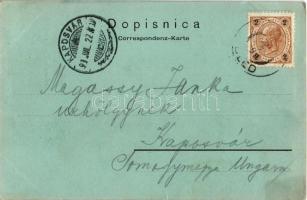 1899 (Vorläufer) Bled, Veldes; Rothwein Wasserfall. Paul Homan / waterfall (wet corner)