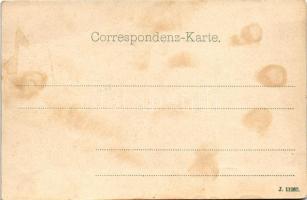 1899 (Vorläufer) Bled, Veldes; Eingang in die Rothwein Klamm. Otto Fischer / general view, waterfall...