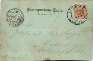 1898 (Vorläufer) Ljubljana, Laibach; vom Schlossberg. Carl Otto Hayd Kunstverlag.-Anstalt (München) ...