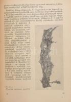 Bálint Gyula: Beépített faanyagok korhadása és védelme. Bp., 1956, Mezőgazdasági. Kiadói papírkötés,...
