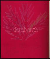 Pánik Ping Pong 2. Bada Dada Táborunk retrospektív pánik kiállítása. Bada Dada (Bada Tibor, 1963-2006) RAJZOS DEDIKÁCIÓJÁVAL! Bevezető: Beke Zsófia. Bp., 2004, Studio 1900 Galéria. Bada Dada műveivel és róla készült fotókkal illusztrált katalógus. Kiadói papírkötés.