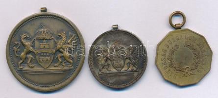~1910. "Magyar Testgyakorlók Köre Verseny Díj / Bátorság Buzgalom Barátság" kétoldalas bro...