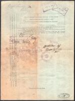 1928 Nagydobrony (Velika Dobrony), Kárpátalja, marhalevél magyar, ukrán és cseh nyelven, csehszlovák...