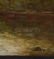 Tölgyes (?) jelzéssel, XX. sz. eleje: Faluvége. Olaj, vászon. Javított. 37,5x58 cm. Dekoratív, sérül...