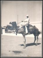 1934 Beduin teveháton, kartonra kasírozott fotó, a kartonon dedikációval (,,Oceániai utazás emlékére...