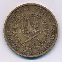 Nagy Lajos (1949-) 1986. "MÉE Szabolcs-Szatmár Megyei Szervezete / Bajcsy-Zsilinszky Endre 1886...