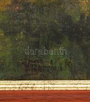 Berényi Margit (Vágó Gáborné) (1900?1945), 1923-ban Kolozsvárott és Nagybányán tanult: Távolbanéző. ...