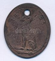 1885. "Ebadójegy - Nagyvárad" bronz kutyabárca "282" sorszámmal T:VF