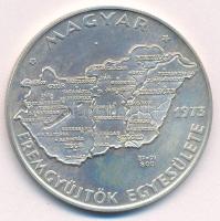 Csucs Viktória (1934-1993) 1979. "Magyar Éremgyűjtők Egyesülete 1973" jelzett Ag tagsági érem (25,37g/0.800/42,5mm) T:UNC Adamo BP5