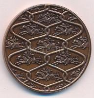 Fritz Mihály (1947-) / Szabó Géza (1939-) 1996. "MÉE 26. Vándorgyűlése - Szeged Ópusztaszer Kec...