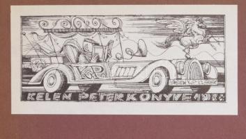 Vörös Márton (1900-1993): A szerencsés expedíció. Hans W. Ahlmann kutató útja az északi jégvilágba. ...