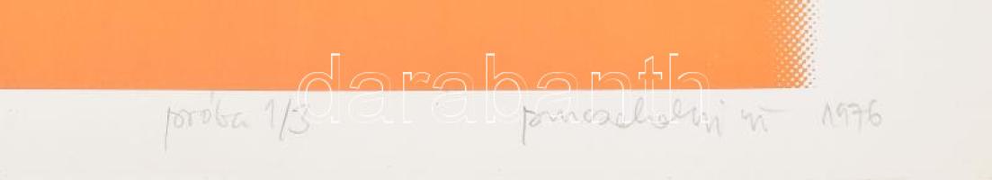 Pinczehelyi Sándor (1946-): Rita, 1976. Szitanyomat, papír, jelzett, próbanyomat 1/3 számozással. 43...