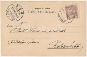 1900 Torda, Turda; Cellulóz gyár, Fő tér, Mendel L. sörgyára. Botár J. fényképész kiadása / cellulos...