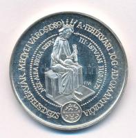 Fritz Mihály (1947-) 1989. "MÉE Székesfehérvár - III. István király - A fehérvári jog adományozója" kétoldalas jelzett Ag emlékérem (35,50g/0.835/42,5mm) T:AU (eredetileg PP), patina Adamo SF11