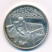 Csúcs Viktória (1934-) DN "Kalocsa" kétoldalas jelzett Ag emlékérem (16,93g/0.925/32mm) T:...