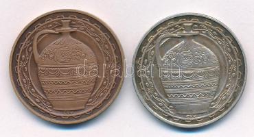 Csúcs Viktória (1934-) DN "Hódmezővásárhely" kétoldalas ezüstözött bronz + bronz emlékérem...