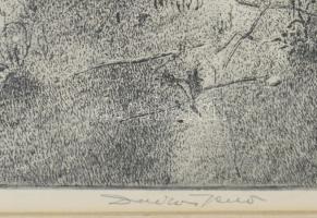 Dudás Jenő (1900-1991): Tihanyi országút. Rézkarc, papír, jelzett. Üvegezett keretben, 29,5x39 cm
