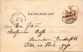 1899 (Vorläufer) Gödöllő, Királyi kastély. Erdélyi cs. és kir. udvari fényképész felvétele (fa)