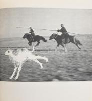 Lőrincz L. László: Nyaralj velünk az Altaj hegységben. 1982, Móra Ferenc Könyvkiadó. Kiadói kartonál...