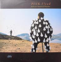 Pink Floyd - Delicate Sound Of Thunder. 2 x Vinyl, LP, Album, 1989, VG+