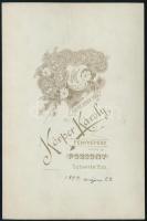 1897 Pozsony látképe, keményhátú fotó Körper Károly műterméből, 10,5×16,5 cm