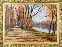 Hornyik Zoltán (1960-): Parti út. Olaj, farost, jelzett. Dekoratív fakeretben. 50×70 cm